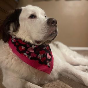 Meet your Posher, Jaclyn